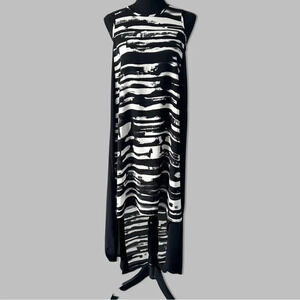 Philosophy  Sleeveless High Low Chiffon Dress